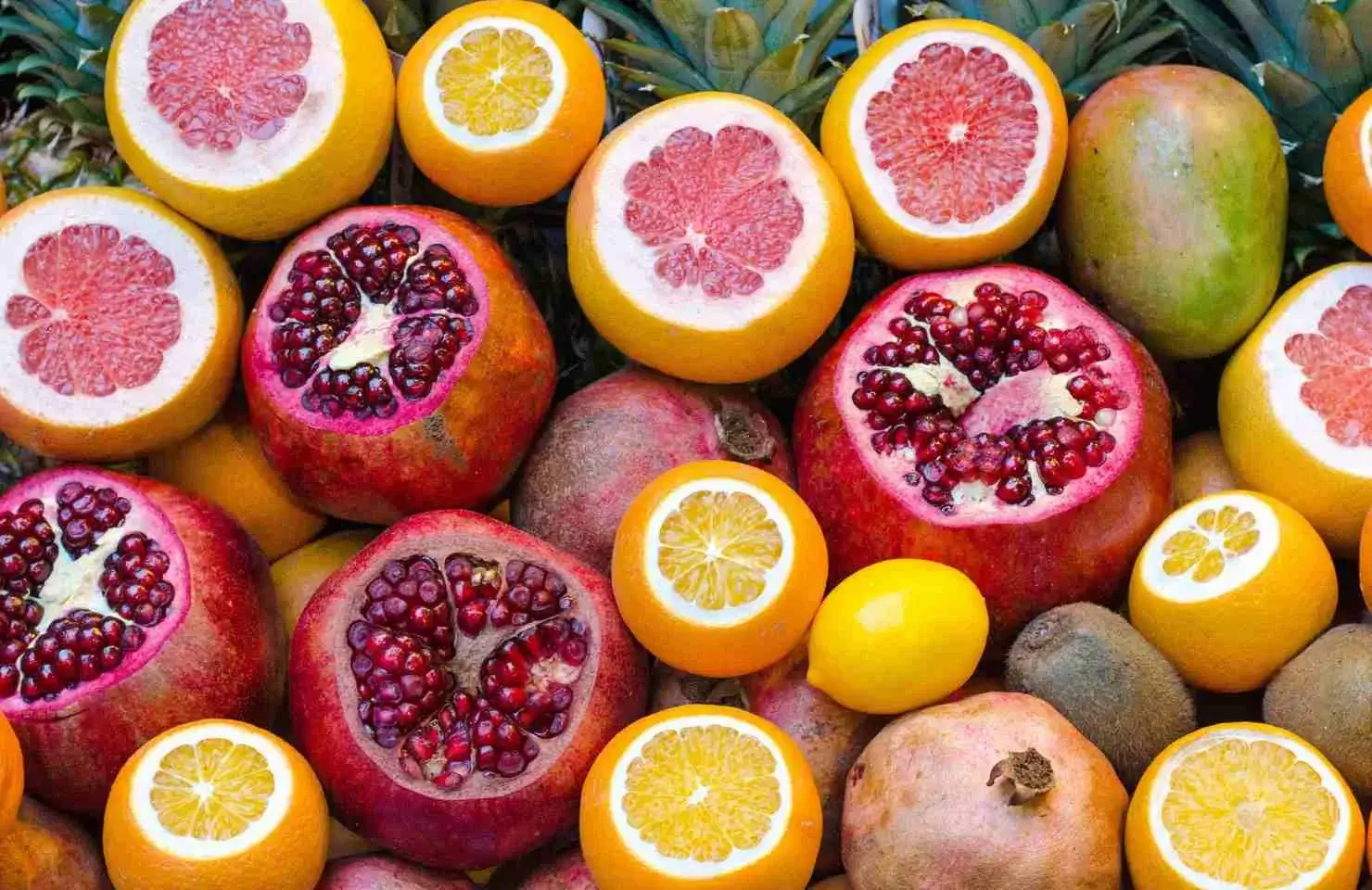 Marketing Well-designed Cookbooks and Recipes on Various Diets Marketing Well-designed Cookbooks and Recipes on Various Diets